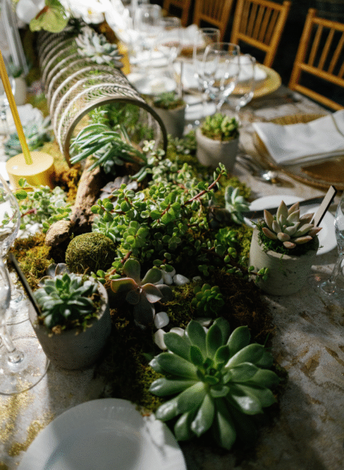 Tablescapes