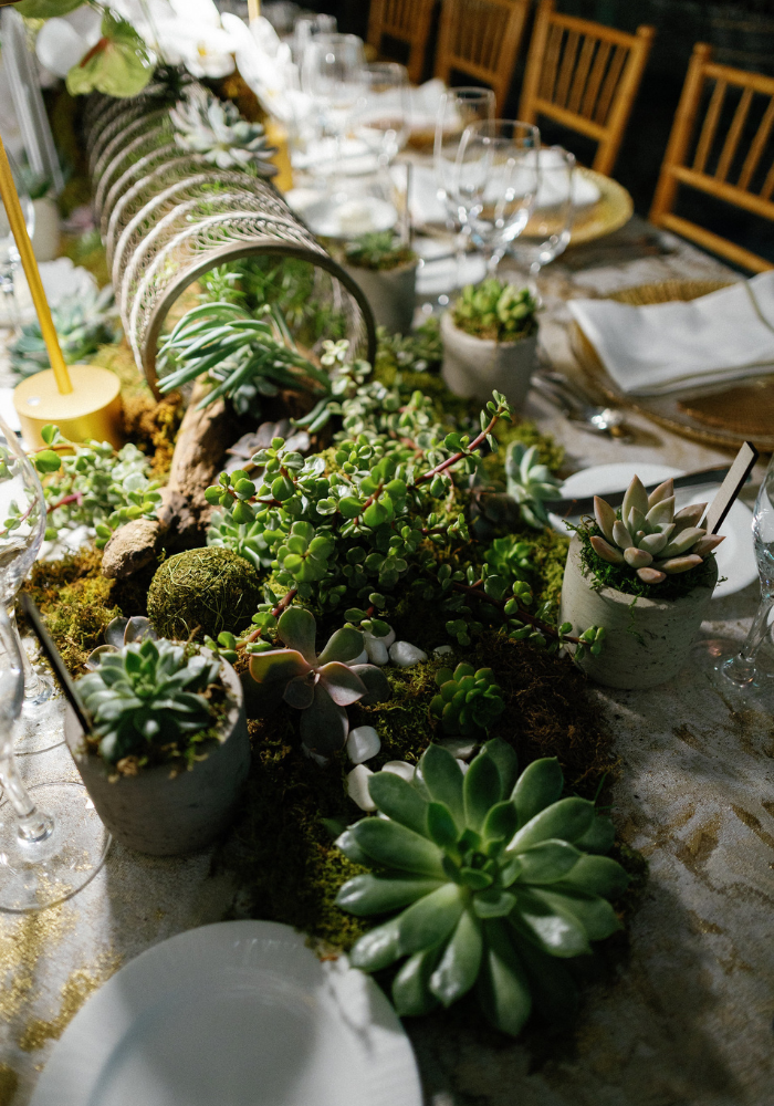 Tablescapes.png Tablescapes