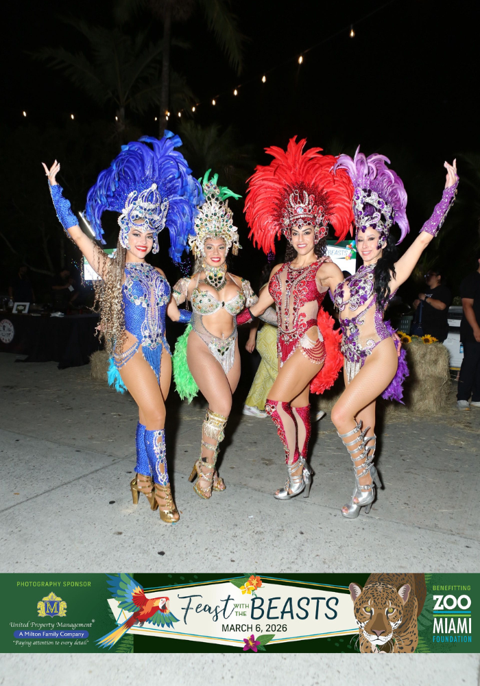 Samba dancers