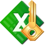 Accent EXCEL Password Recovery 22.01 + кряк