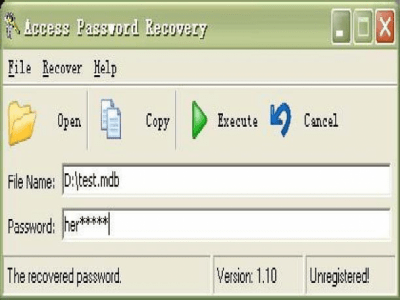 Access Password Recovery 2.0 build 010