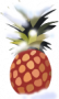 Ananas 0.9.5 Ananas 0.9.5