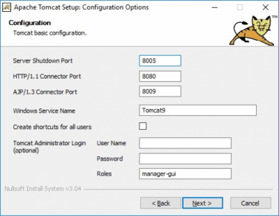 Apache Tomcat 9.0.17