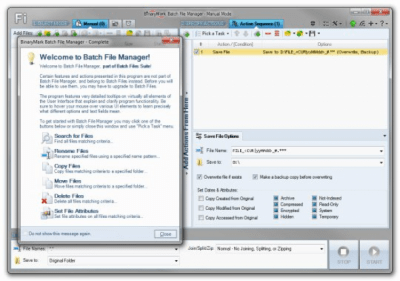 BinaryMark Batch File Manager 5.0.1