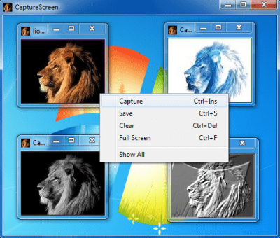 CaptureScreen 2.0.4396