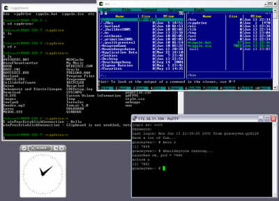 Cygwin 3.0.6-1