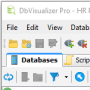 DbVisualizer Windows 12.0.5