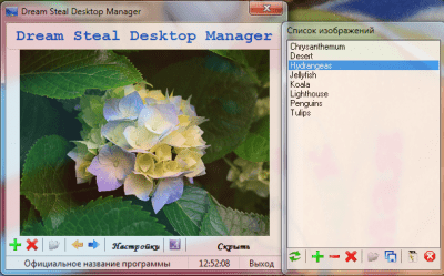 Desktop Manager 1.2.1