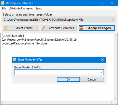 Desktop.ini Editor 1.1