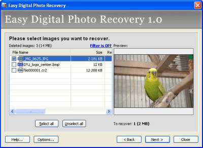 Easy Digital Photo Recovery 1.0 last