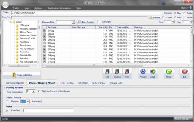 File Renamer Basic 6.3