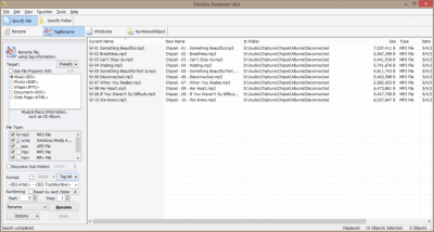 Flexible Renamer 8.4