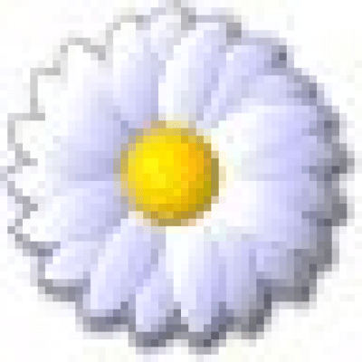 FlowersClient 2.2.2.20