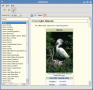 GoldenDict 1.0.1 GoldenDict 1.0.1