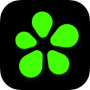 ICQ 11.4