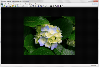 Image Analyzer 1.38 Image Analyzer 1.38