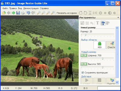 Image Resize Guide Lite 1.2.1