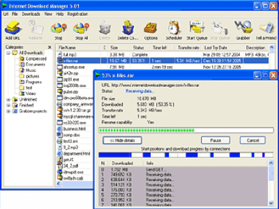 Internet Download Manager 6.33 Build 2 + key