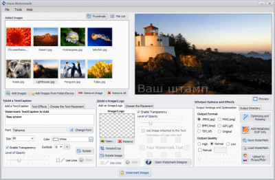 Mass Watermark 1.7