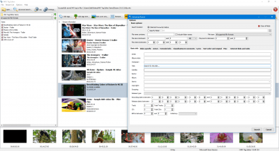 MKV Tag Editor 1.0.88.165 + кряк