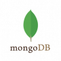 MongoDB 4.0.25