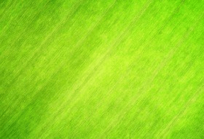 Обои Grass_03 1.0