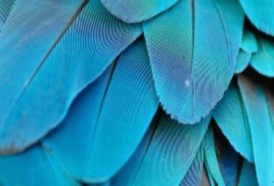 Обои Nature_0067 1.0 Обои Nature_0067 1.0