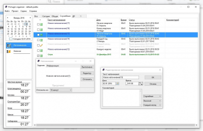 Pichugin Organizer 4.1