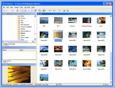 Anix PicViewer 3.02