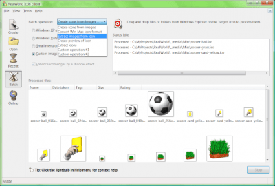 RealWorld Icon Editor 2010.1