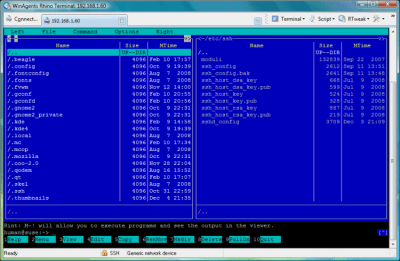 Rhino Terminal 3.0.184 + key