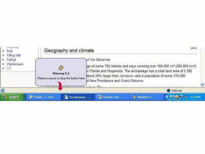 Taskbar Button Manager 2.3 Taskbar Button Manager 2.3