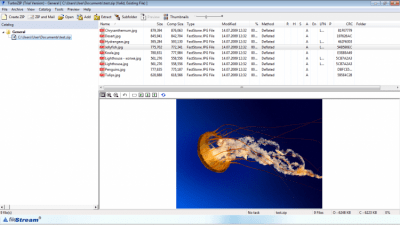 TurboZIP 8.5