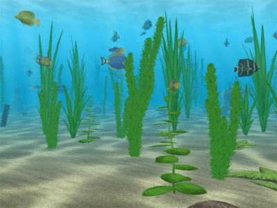 Water Life 3D 2.9.9 Water Life 3D 2.9.9