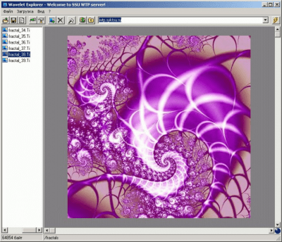 Wavelet Explorer v0.0.1 last Wavelet Explorer v0.0.1 last