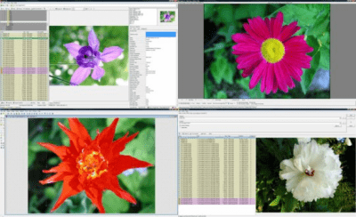 WildBit Viewer Portable 6.3 WildBit Viewer Portable 6.3