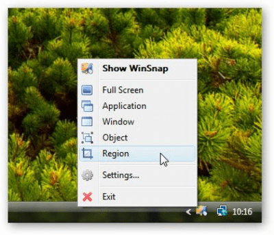 WinSnap 5.1.1 + key