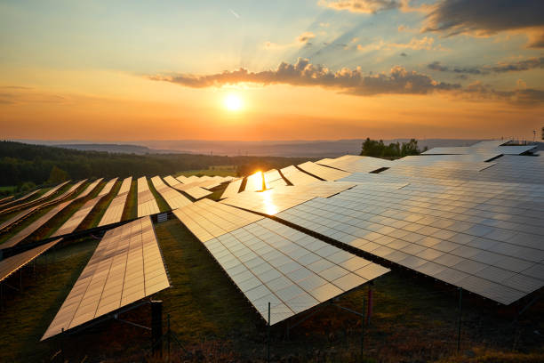 How to Find and Locate Solar Panel Companies That Are Going Out of Business
