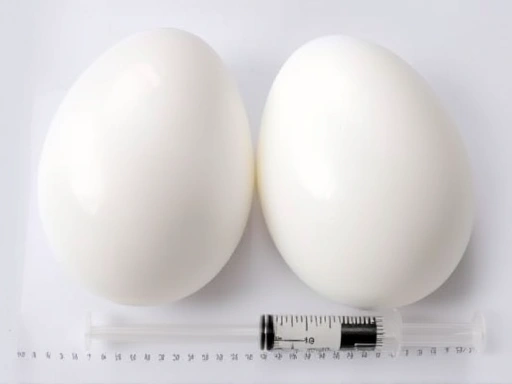 Close-up view of two distinct breast implant types (silicone gel and saline-filled), showcasing their texture and form differences, alongside a syringe for fat grafting, all on a sterile, medical surface, emphasizing detailed features.