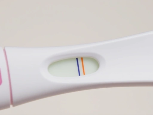 임신 테스트기 클로즈업, 두 줄 나타내는 모습