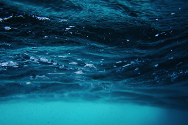 Dasa Authentic – Chuyên Nước Hoa, Son Chính Hãng