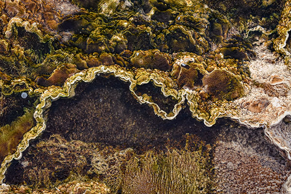 Dasa Authentic – Chuyên Nước Hoa, Son Chính Hãng