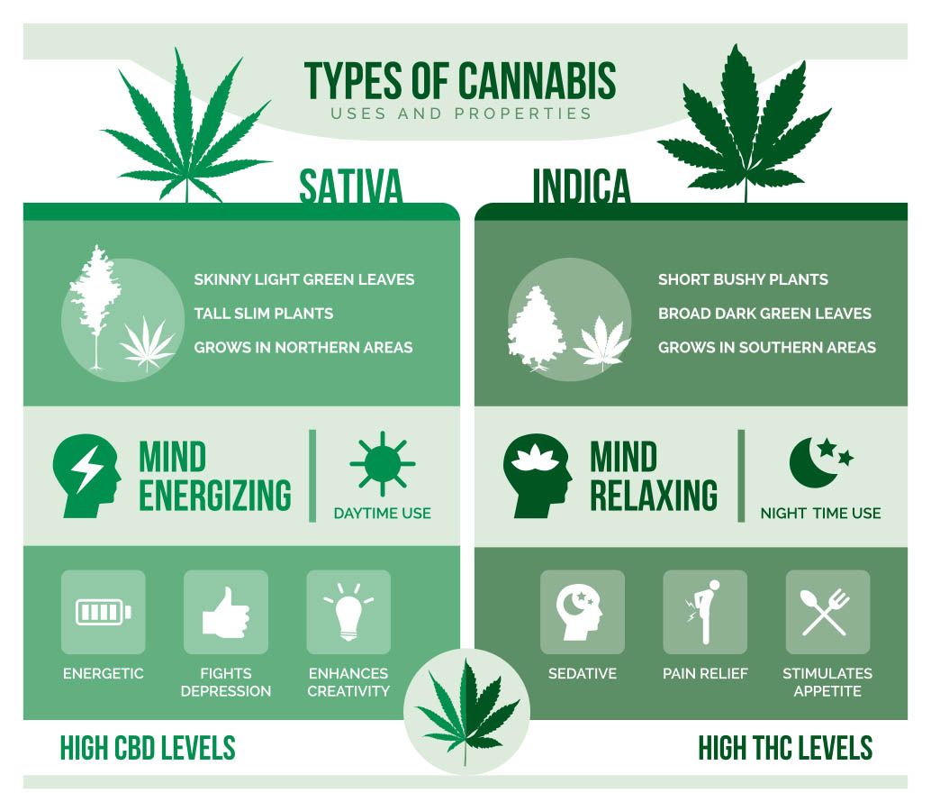 INDICA_VS_SATIVA