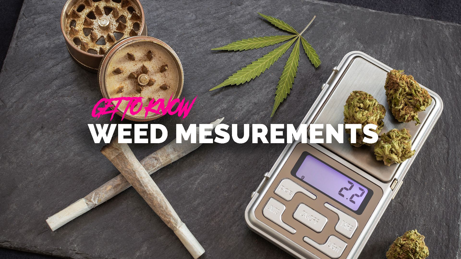 Weed Measurements: Guide to Quantities, Weights, and Prices