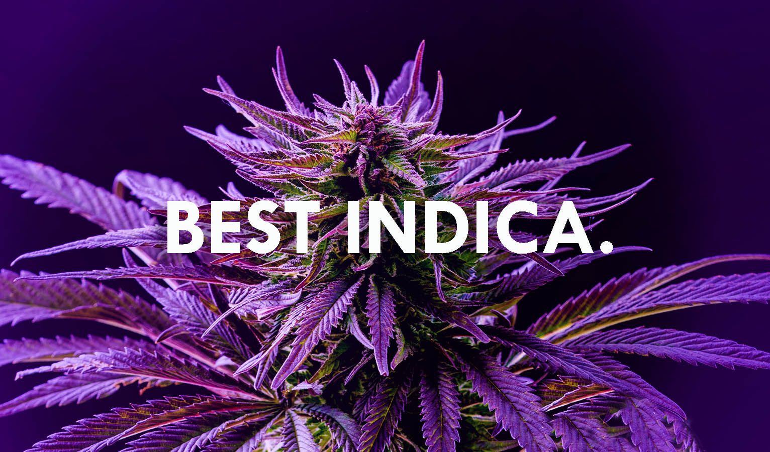 Indica flowers