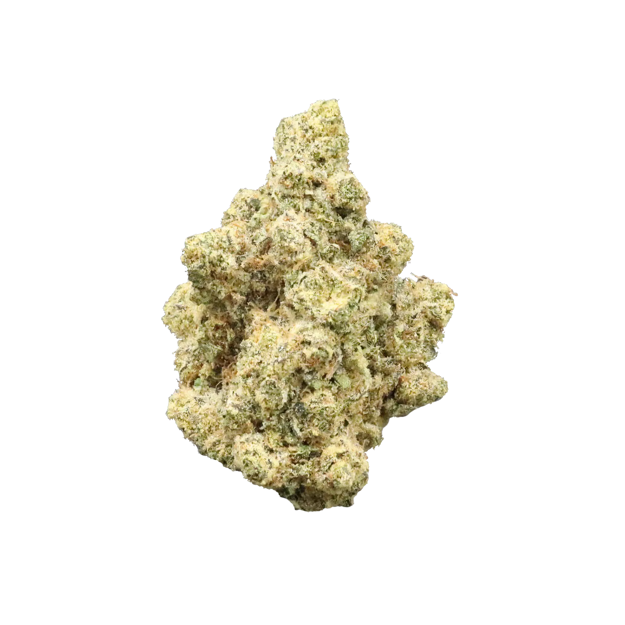 avaay 29/1 CP "Candy Pave"