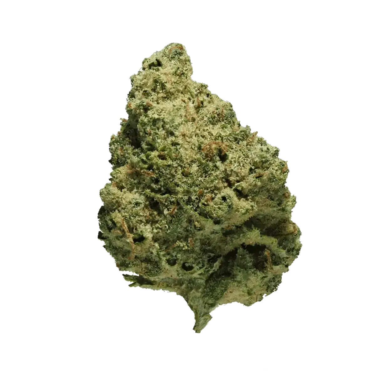 avaay 25/1 CRE "Creamy Kee's No.5"