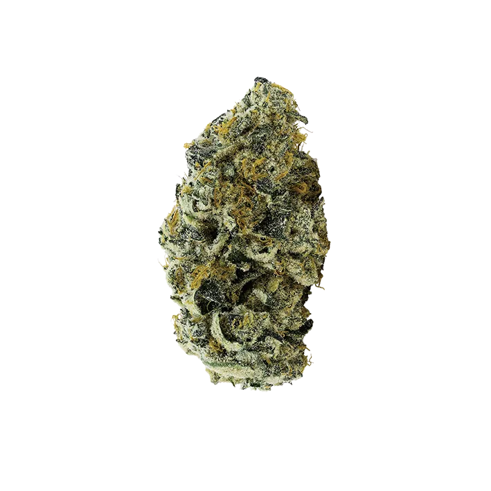 avaay 34/1 JFP "Jet Fuel Pie"