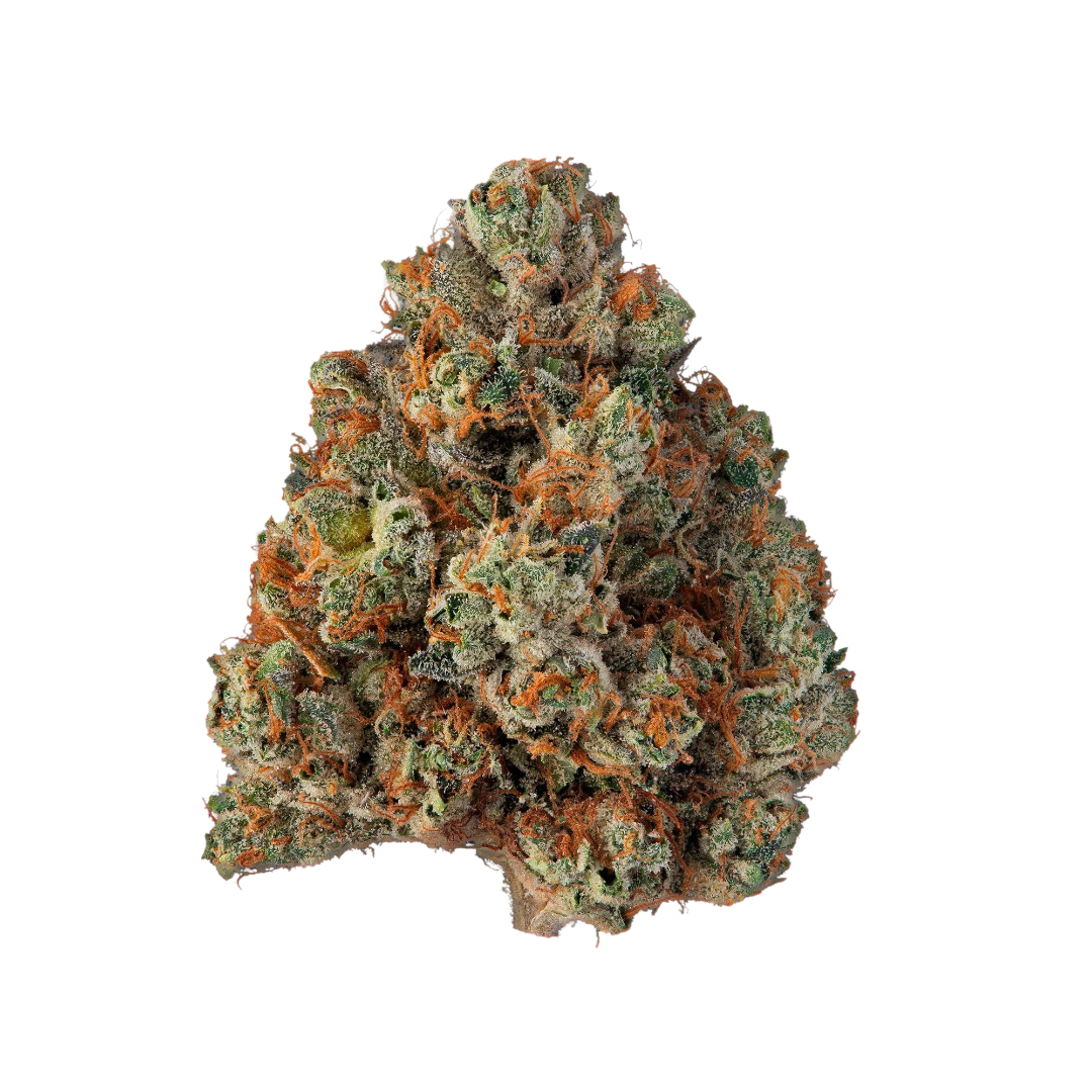 avaay Khalifa 24/1 KK "Khalifa Kush"