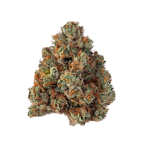avaay Khalifa 24/1 KK "Khalifa Kush"